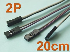 100 Pcs 20cm ( 7.9″ ) Length Dupont Wire Cable 2p 2p Pin Header 2.54MM Pitch