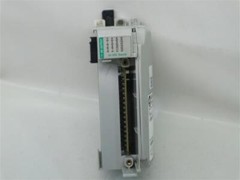 Allen-Bradley Output Module w/o Terminal w/ 1769-ECR Right End Cap/Terminator