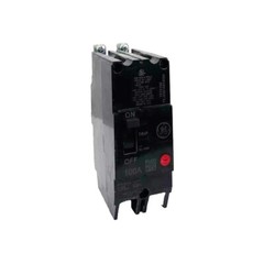 NIB – GE – TEY2100 – Tey 2 Pole 100A Brkr