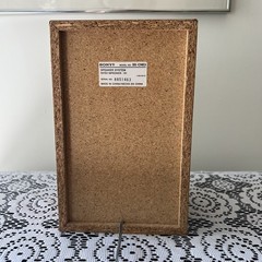 Sony SS-CNE3 Single Speaker
