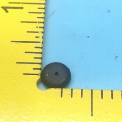 2 CALIFORNIA SEAL & FASTENER 3514-109-2 SENSOR SEAL, 169221