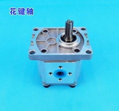 Gear Pump CBN-F306/F314/F316/F320/F325 Hydraulic Oil Gear Pump Spline Flat Key