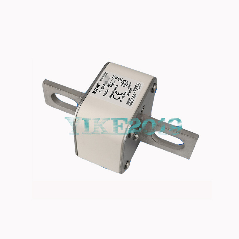FOR BUSSMANN Fast Fuse 170M6600 Fuse