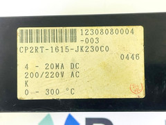 SHIMADEN CP2RT-1615-JK230C0 Temperature Converter