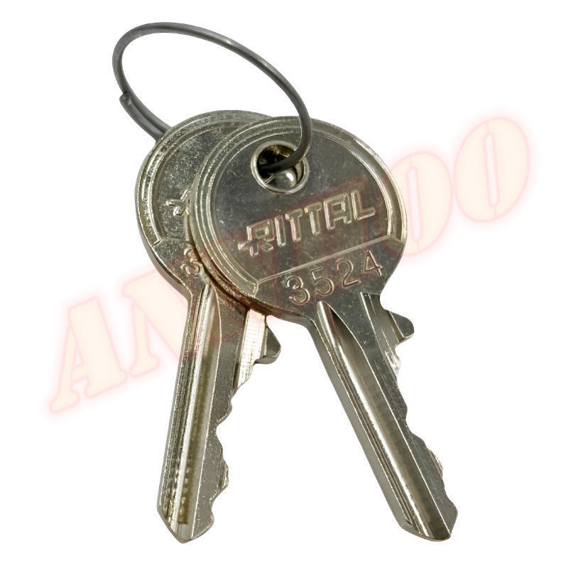 2Pair (4Keys) Fit Rittal 2532000 Enclosure Key