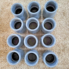Spears Lot of 12, PVC Slip Reducer coupling-829-212, 1 1/2″ x 1 1/4″ NEW