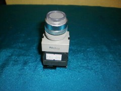 Maruyasu HFG22-100-10G HFG2210010G Push Button