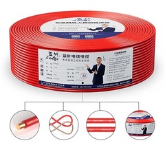 Single Solid Core Pure Copper Cable BV Wire 1.0mm² – 10mm² Equipment Cable Wire
