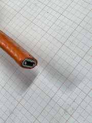 nVent Raychem 5XLE1-CR XL-Trace Edge Self-Regulating Heating Cable 5W/120V /1ft