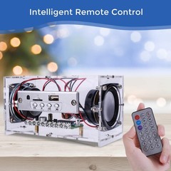 DIY Bluetooth Speaker Kit – USB Mini Stereo Amplifier with LED Lights, STEM Sold
