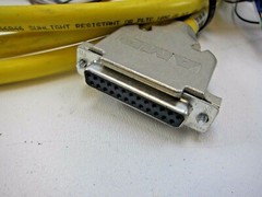 Turck DB25F-10/CS12365 Flying Lead Cable 8 foot Length
