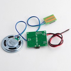 8M Record Sound Module Button Control MP3 Music Voice Player Board DIY Kit USA