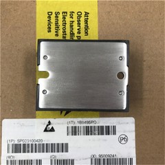 1PCS Brand New Module CRYDOM D2450 Quality Assurance 100%