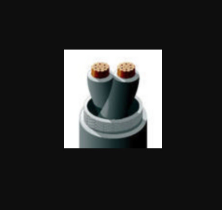 RSCC M27500-22SD2V73 AWG 22 STR:19 Double Layer IrradiatedMilitary Shielded Wire