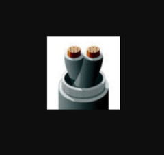 RSCC M27500-22SD2V73 AWG 22 STR:19 Double Layer IrradiatedMilitary Shielded Wire