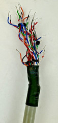 ALLEN BRADLEY 1492-CONCAB005Y WIRE MODULE CABLE 160VAC 12A SER.A
