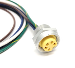 Balluff BCC098N 7/8″ 5-Pin Female Receptacle BCC A355-0000-10-RN022-020 LOT OF 3
