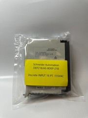 Schneider Automation DEP218/AS-BDEP-218 Discrete Input 16pt. 115VAC Module