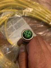 Murr Elektronik 7000-12241-0151000 M12 female connector straight w/ 10m cable