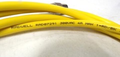 RADWELL, CONNECTING CABLE, RAD07291, 889R-F4AERE2SUB, 300 VAC, 4A MAX, 90º C