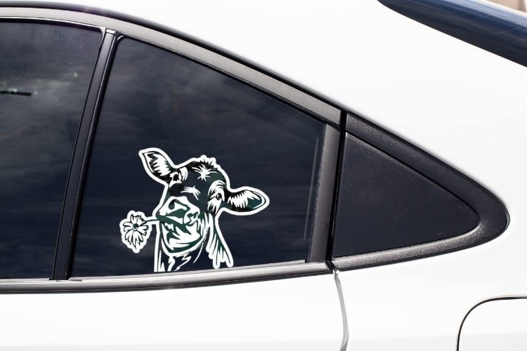 6 Inch Clear Vinyl Cow Decal Sticker for Car Window and Any Flat Surface Animal