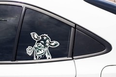 6 Inch Clear Vinyl Cow Decal Sticker for Car Window and Any Flat Surface Animal