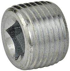 Southwire PLG250, 2-1/2″, Malleable Iron, Threaded Rigid Conduit Hole Plug, 1 pc
