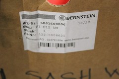 BERNSTEIN 6061600006 F1-U1Z PNEUMATIC FOOT SWITCH