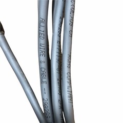 NEW Resistance Temp Probe 2029 Allied Cable 2982SS E171197-01 22AWG 2PR Shielded