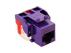 MODULE CAT 6 EZ PURPLE IC1078L6PR UPC 633758017282