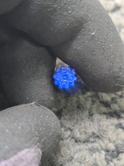 (QTY 1,000) Molex 19160-0040/TL-B Blue Twist Lock Nut Wire Connectors 22-14 AWG