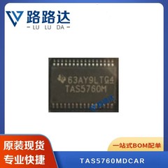 2pcs TA55760M TASS760M TAS57G0M TAS576OM TAS5760M TAS5760MDCAR HTSSOP48 IC Chip