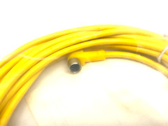 Turck PKW 4M-5 Picofast Single Ended Cordset M8 4-Pin U3501-52