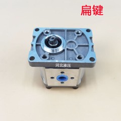 Gear Pump CBN-F306/F314/F316/F320/F325 Hydraulic Oil Gear Pump Spline Flat Key