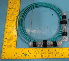 Allied Telesis 990-003663-00 AT-MTP12-5 CABLE, 195505