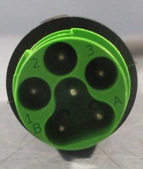 Murr Elektronik 7000-P8141-P010200 Power Connecting Cable 8B0B5 Approx 6′ L