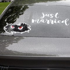 3Pcs Monster Angry Eyes Decals, 10×4 Inch Black Vinyl Bumper Stick Color: 3pcs