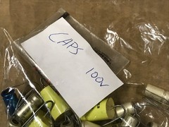 Vintage Bag Lot Of 100-Volt Capacitors