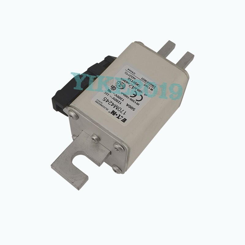 170M4245 Fast Fuse Low Voltage Special Fuse for BUSSMANN