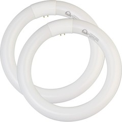FC8T9 CW 22W Cool White Circular Fluorescent Light Bulb Round T9 22 Watt