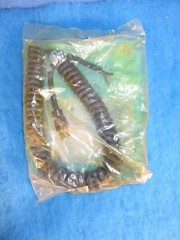 New Belden 17449-S 12FT Retractable Replacement Cord + 1 Year Warranty