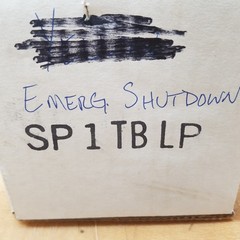 RSG SP1-TB-LP Emergency Alarm – USED
