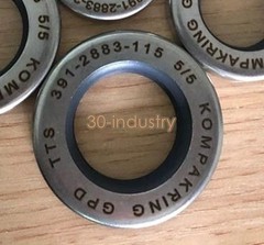 1PCS NEW FIT FOR Gear pump oil seal 391-2883-115