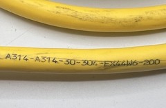 Balluff Double-Ended Cordsets BCC A314-A314-30-304-EX44W6-200