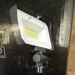 RAB Lightning X34S LED Flood Light 20/25/35W 3000K 4000K 5000K 120-270V Knuck. M
