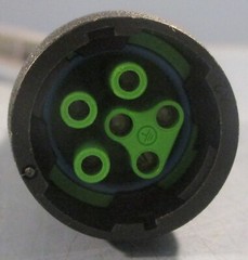 Murr Elektronik 7000-P8141-P010200 Power Connecting Cable 8B0B5 Approx 6′ L