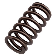 6Pcs New High RPM Valve Springs Fit for 60# Pound 89-1998 5.9 2500 3500 12V