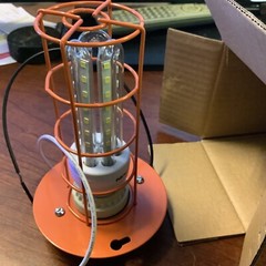 Garvin TLCO Temp Light For Round/Octagon Boxes W/9 Watt LED Theft Resistant