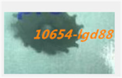 1PCS NEW FOR Swiss c01.211 escape wheel for ETA c01211 moving partss @24