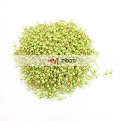 1000x PCB Board Breadboard DIY 3.2mm Dia Ring Head Electronic TestPinGreen1mm✦Kd